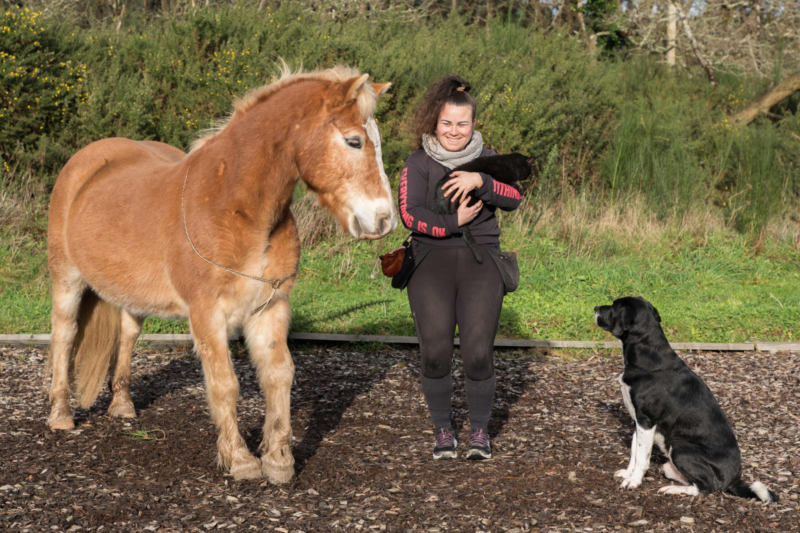 A quoi sert un.e comportementaliste ?