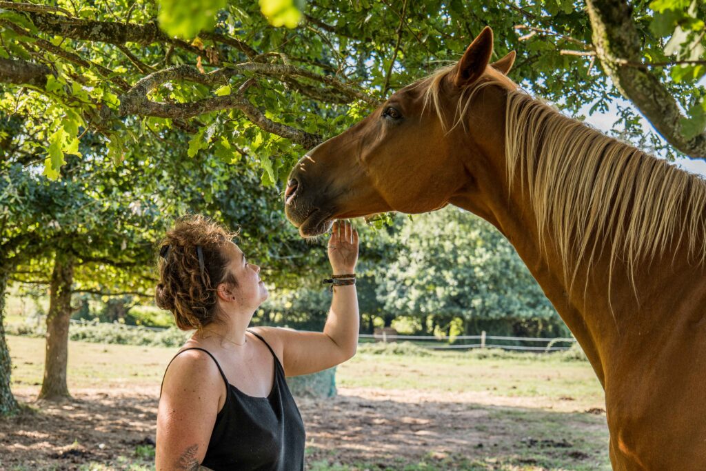 Comportementaliste équin