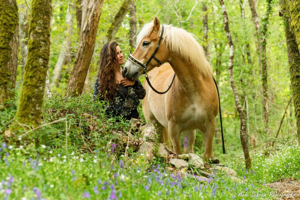 Comportementaliste équin 