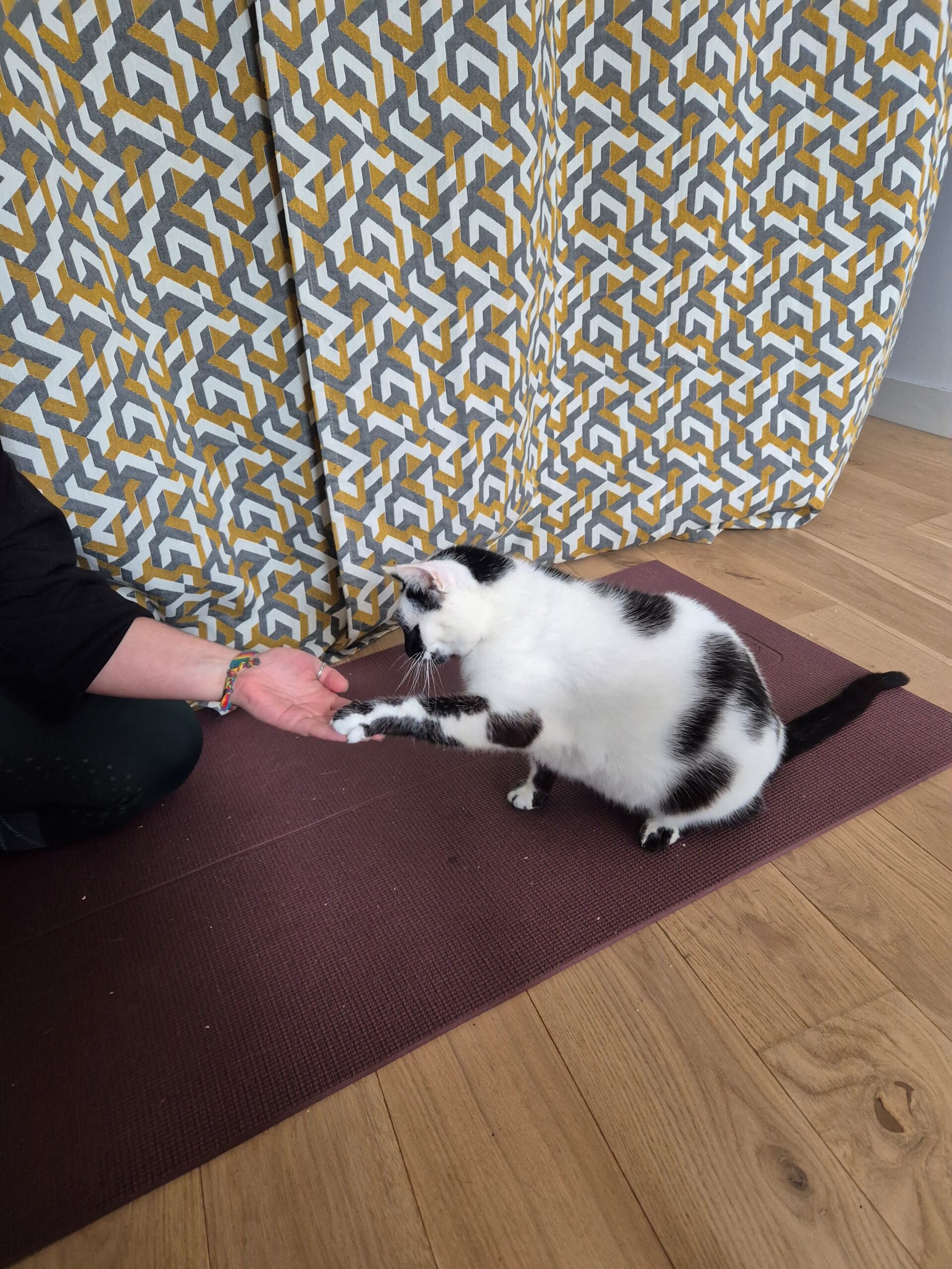 L’entraînement aux soins